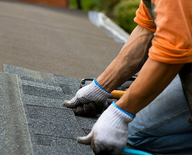 Best Roof Repair Services  in Lyford, TX